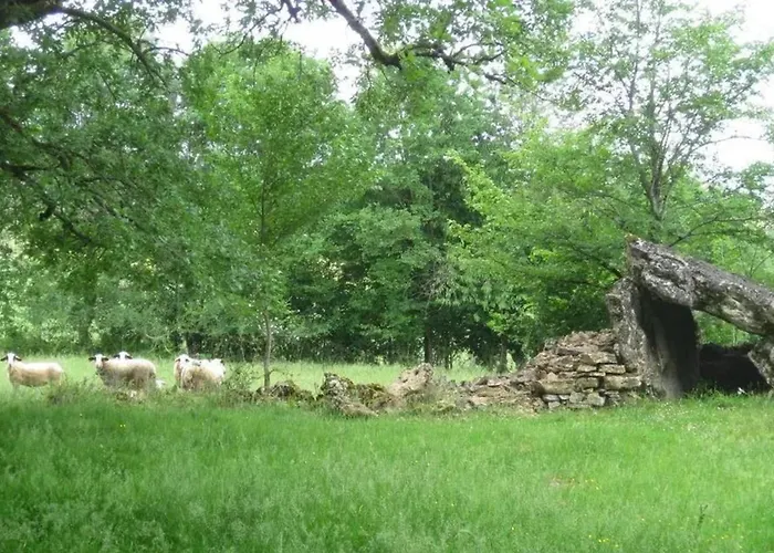 Maison Familiale A Avec Terrasse Nyaraló Faycelles